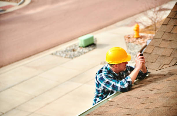 Roof Moss and Algae Removal in Dewey Humboldt, AZ